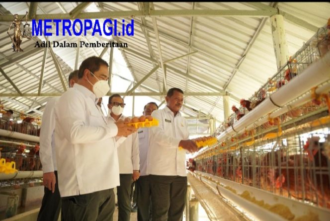 
 Kontribusi Nyata..!! Menteri Imigrasi dan Pemasyarakatan Lakukan Kunjungan Kerja Pada Sarana Asimilasi Edukasi L’Sima Ngajum