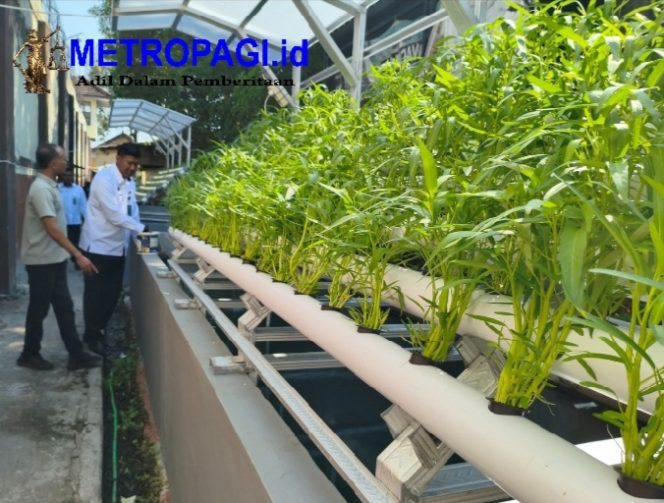 
 Budi Daya Penuh Makna, Rutan Bangil Wujudkan Ketahanan Pangan bagi Warga Binaan