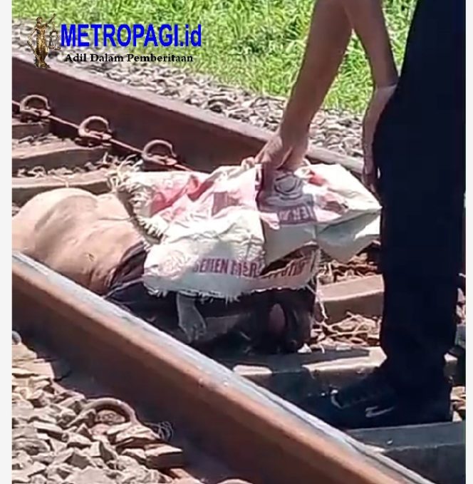 
 Pria Pencari Barang Bekas Tewas Tertabrak Kereta Api di Jalur Rel Km 14+300 Sukorejo, Pasuruan