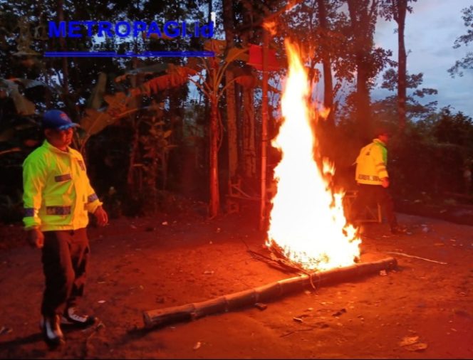
 Polres Malang Bongkar Arena Sabung Ayam di Sumberpucung