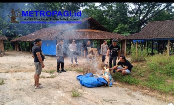
 Tindak Tegas! Polres Ponorogo Bubarkan 3 Titik Judi Sabung Ayam dan Dadu