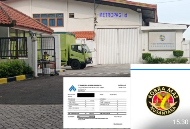 
 Diduga Tak Berizin, PT Cobra Outsourcing di Kawasan PIER