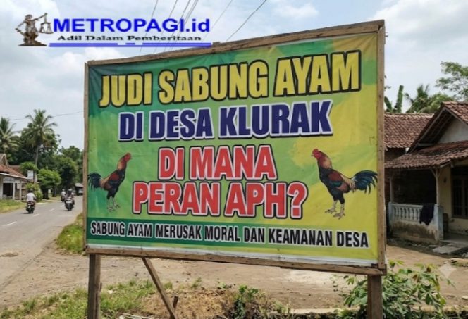 
 Judi Sabung Ayam di Klurak Candi Terkesan Kebal Hukum, Dimana Peran APH Sebagai Garda Terdepan