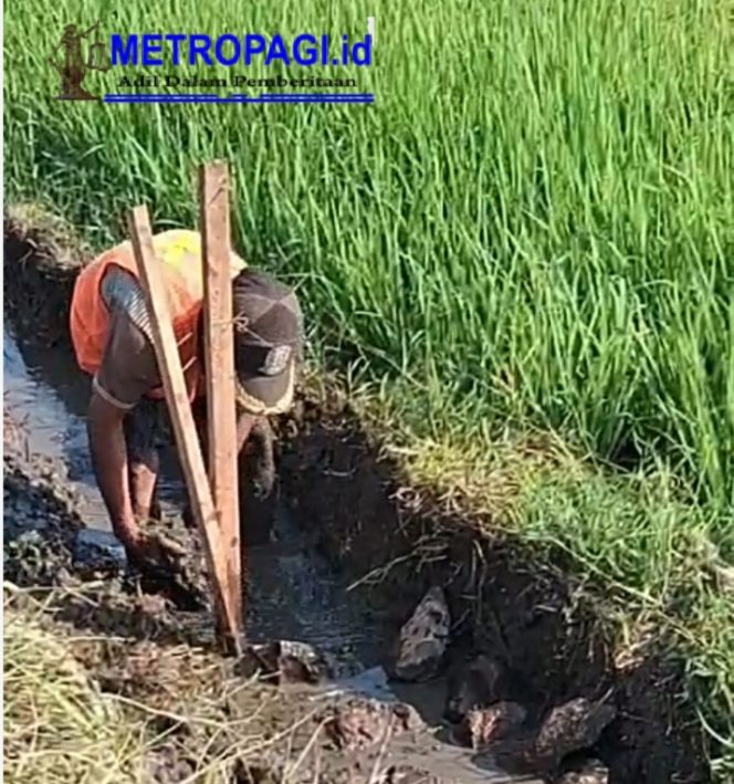 
 Diduga Dikerjakan Asal-asalan, Proyek Irigasi di Desa Pekangkungan, Kecamatan Gondang Wetan Layak Disorot