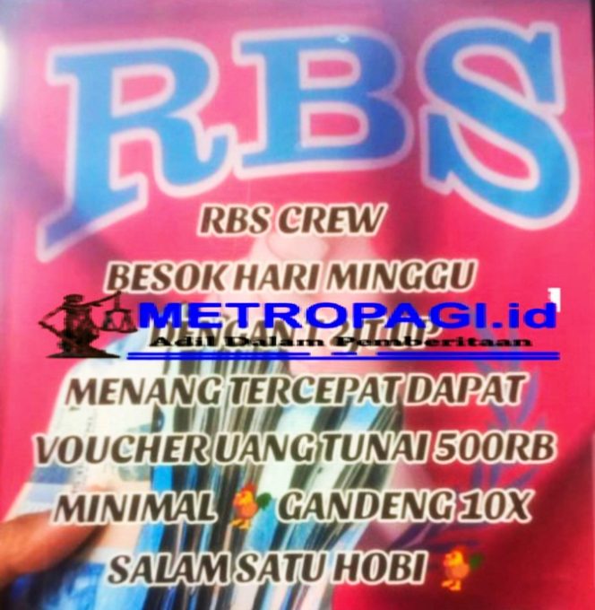 
 Sempat Ditutup, Arena Judi Sabung Ayam di Wilayah Hukum Polsek Pakisaji Malang Kembali Menggeliat